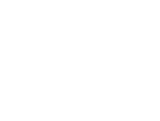 Egyptian Eagle